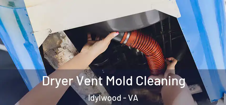  Dryer Vent Mold Cleaning Idylwood - VA