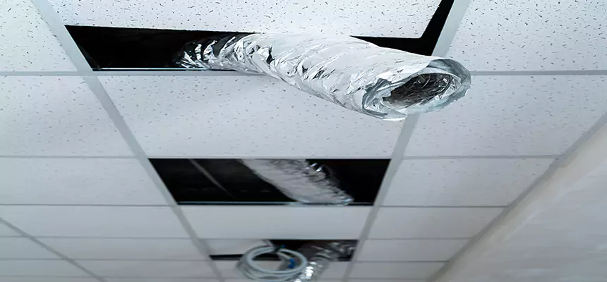 Affordable HVAC Sanitizing After Pest Removal in Idylwood