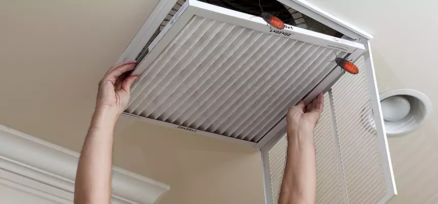 Our Insect Removal from Air Ducts Services in Idylwood, VA