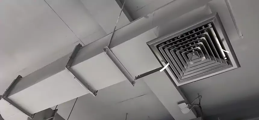 Our Pest Removal From Ducts Services in Idylwood, VA