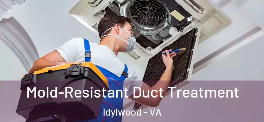  Mold-Resistant Duct Treatment Idylwood - VA