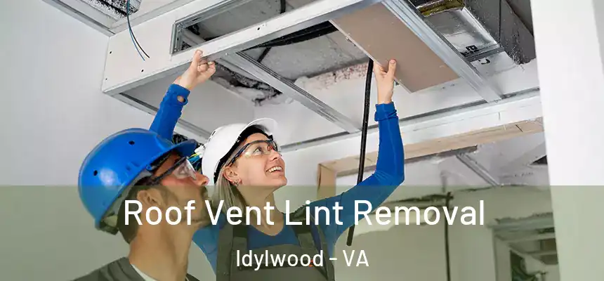  Roof Vent Lint Removal Idylwood - VA