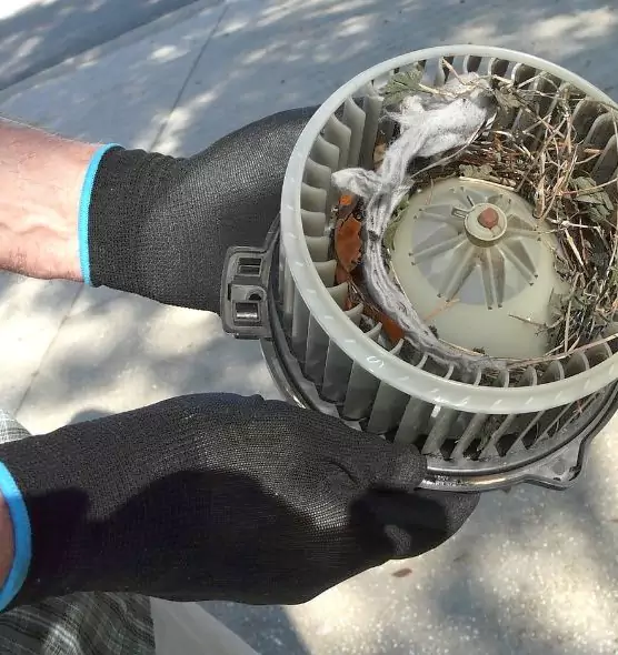 About Air Duct Rat Removal in Idylwood, VA